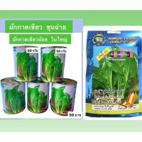 ราคา ผักกาดเขียว ชุนฉ่าย เขียวน้อย ประมาณ 4000 เมล็ด (1330357512)