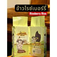 ราคา Nana rice ข้าวกล้องไรซ์เบอรี่ riceberry อินทรีย์แท้100% 1กก สุญญากาศ (2369931052)