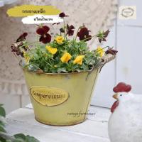 ราคา Vintage Farmhouse - กระถางเหล็ก กระถางเหล็กวินเทจ กระถางเหล็กสไตล์วินเทจ (40211726102)