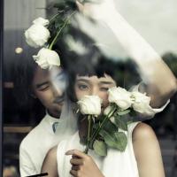 ราคา 1 ดอก กุหลาบปลอม ROSE Valentine's Day ดอกกุหลาบกำมะหยี่ ดอกกุหลาบปลอม กุหลาบกำมะหยี่ กุหลาบวาเลนไทน์ No.2491 (6078572561)