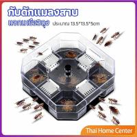 ราคา ที่ดักแมลงสาบ ที่ดักแมลงสาบ กล่องดักแมลงสาบ cockroach trap (18329981184)