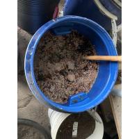 ราคา น้ำหมักจุลินทรีย์หน่อกล้วย (3081401916)