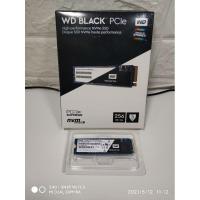 ราคา WD BLACK PCIe M.2 NVMe SSD 256GB (WDS256G1X0C-00ENX0)สินค้าในไทยส่งไว ใช้โค้ดส่งฟรี (9854480524)