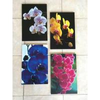 ราคา ขายดี!!! ชุดดอกกล้วยไม้ (8644020317)