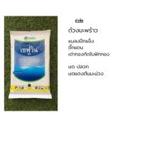 ราคา สารกำจัดปลวก เซฟวิน85 ขนาด 100 กรัม (3617343689)