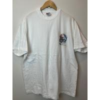 ราคา เสื้อยืดมือสอง วินเทจตะเข็บเดี่ยว ป้าย Hanes (22457907465)