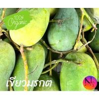 ราคา มะม่วงเขียวมรกต รสเปรี้ยว เนื้อแน่น (26254050493)