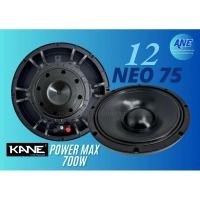 ราคา แม่เหล็กนีโอ KANE 12 NEO 75 ดอกลำโพง 12 นิ้ว แม่เหล็กนีโอ (28024123172)