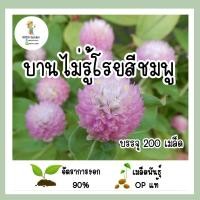 ราคา เมล็ดพันธุ์ บานไม่รู้โรยสีชมพู 200เมล็ด เมล็ดพันธุ์OPแท้ อัตราการงอกสูง (8598491245)