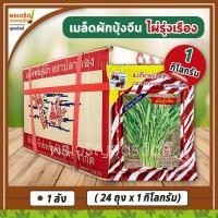 ราคา เมล็ดพันธุ์ผักบุ้ง ผักบุ้งจีน ไผ่รุ่งเรือง (ยกลัง 24 ถุง) เมล็ดผักบุ้งจีนเรียวไผ่ เมล็ดพันธุ์ยกลัง เมล็ดพันธุ์ตราปลาทอง (11823820241)