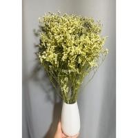 ราคา ดอกสุ่ยสีขาว ดอกแห้งดอกสุ่ย ดอกสุ่ยเหลือง ขาว ช่อดอกไม้แห้ง พร็อพถ่ายภาพ ของแต่งบ้าน (23228747244)