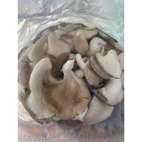 ราคา เห็ดนางฟ้าภูฐานสดจากฟาร์มระบบปิด (25054672634)