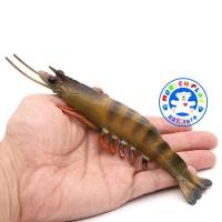 ราคา Munich Play - โมเดลสัตว์ Prawn กุ้ง กุ้งกุลาดำ ขนาด 18.50 CM (จากหาดใหญ่) (20203962223)