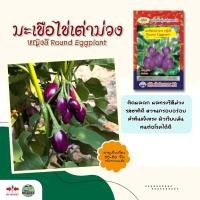 ราคา เมล็ดมะเขือไข่เต่าม่วง หญิงลี Round Eggplant ตราภูเขาทอง ขนาด3กรัม เมล็ดมะเขือ เมล็ดพันธุ์มะเขือ เมล็ดผักสวนครัว (7058887270)