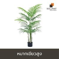 ราคา ต้นไม้ปลอม ต้นหมากเขียวสูง TR-0013 สูง 120 cm (10106376445)