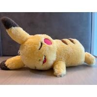 ราคา Pikachu Doll Plush ตุ๊กตาปิกาจูนอน (53653067216)