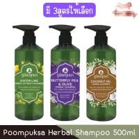 ราคา Poompuksa Herbal Shampoo 500ml ภูมิพฤกษา แชมพู สมุนไพร 500มล. (26919058138)