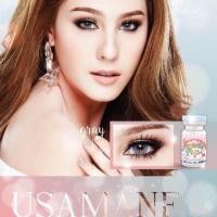 ราคา คอนเเทคเลนส์ สี Usamanee gray (40674195)