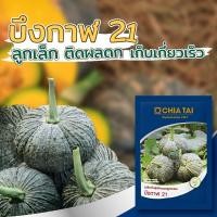 ราคา เมล็ดฟักทอง บึงกาฬ21 ตราเจียไต๋ ขนาด20กรัม เมล็ดพันธุ์ฟักทอง เมล็ดพันธุ์ผัก เมล็ดผักสวนครัว เจียไต๋ ฟักทองลูกเล็ก (5458890572)
