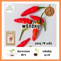 ราคา 9บาท พริกขี้หนู 70 เมล็ด (29871204897)