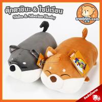 ราคา ตุ๊กตา ชิบะ & ไซบีเรียน (ขนาด 10,25 นิ้ว) ลิขสิทธิ์แท้ / ตุ๊กตา Shiba & Siberian Husky ฮัสกี้ หมาชิบะ หมาไซบีเรียน (9532397981)