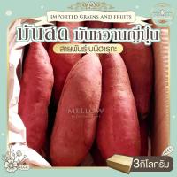 ราคา มันหวานญี่ปุ่น 3 kg มันหวาน ญี่ปุ่น เบน ฮา รุ กะ มันหวานเบนิฮารุกะ เบนิฮารุกะ มันญี่ปุ่นแท้ 100% ปลูกที่ญี่ปุ่น สดใหม่ (15890111732)