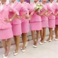 ราคา ชุดนิติพลคลินิก ชุดทำงาน ชุดสีชมพู ชุดหายาก (6336927053)