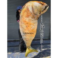 ราคา ตุ๊กตาปลาทูทอด ปลาทูนึ่ง ไซส์ยักษ์150cm. ปลาทูแม่กลอง ของเล่นแมว งาน3Dเหมือนจนแมวงง (20587132125)