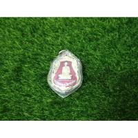 ราคา เหรียญ​หลวงพ่อผาง จิตฺตคุตฺโต​แท้100% (29601161468)