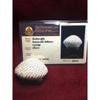 ราคา เบี้ยแก้หลวงปู่เจือ วัดกลางบางแก้ว พร้อมบัตรรับรองพระแท้ (8162521231)