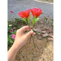 ราคา ดอกกุหลาบผ้าใยบัว ดอกไม้ผ้าใยบัว 1ดอก (27770484580)