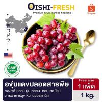 ราคา Oishi-Fresh องุ่นแดงปลอดสารพิษ 1 ลูก รสชาติหวาน นุ่ม สด ใหม่ ใยอาหารสูง หวานออร์แกนิค เคลมได้ 1-2 วัน (49355198168)