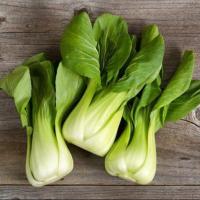 ราคา 1000 เมล็ด กวางตุ้งฮ่องเต้ ผักกาดเขียวกวางตุ้ง (44122557643)