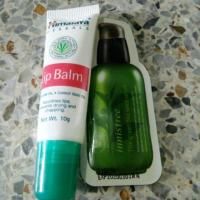 ราคา Himalaya lip balm (277628426)