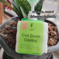 ราคา L'ANGEL Luxury Curl Down Control ANG401 ครีมจับลอนผม แต่งลอนดัด (44403579571)