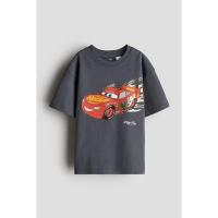 ราคา H&M(เอชแอนด์เอ็ม) เสื้อยืดพิมพ์ลาย เด็กชาย 1117472_8 (45555414538)