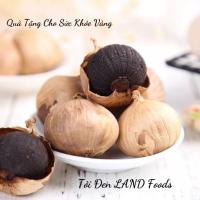 ราคา [ของขวัญ] Land Foods กระเทียมดําช่วยเพิ่มภูมิคุ้มกัน 200g กล่อง (44363518973)
