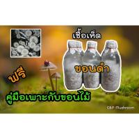 ราคา เชื้อเห็ดขอนดำ เปล็ดข้าวฟ่าง ชุด 10 ขวด พร้อมคู่มือเพาะกับขอนไม้ (16931745173)