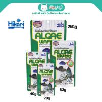 ราคา Hikari Algae Wafers อาหารปลาฮิคาริ สำหรับปลากินพืช กินตะไคร่ แบบเม็ดจม สำหรับปลาพื้นตู้ ปลาแพะ ปลาหมู ปลาซัคเกอร์ เม็ดจม (4806732001)