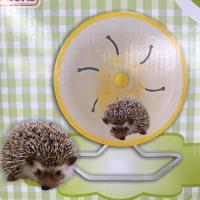 ราคา ของเล่นเม่นแคระ หนูแฮมเตอร์ หนูแกสบี้ กรงล้อวิ่งอันใหญ่ (4132862696)