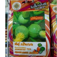 ราคา เมล็ดซูกินี ลูกกลม 10 แถม 1 คละได้ ซูกินีลูกกลม เมล็ดผัก เมล็ดพันธุ์ (3124097055)