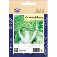 ราคา เมล็ดพันธุ์ ขาวปลี พันธุ์เบา เจียไต๋ ซองจัมโบ้ (40558707703)