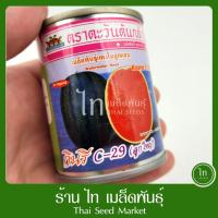 ราคา แตงโม กินรี C-29 C29 ซี29 (ลูกใหญ่) เมล็ดพันธุ์ แตงโม ตรา ตะวันต้นกล้า บรรจุ 40 กรัม (57300736247)