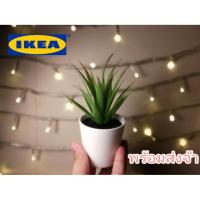 ราคา IKEA ไม้กระถางประดิษฐ์+กระถาง (1535338609)