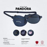 ราคา MINI TRAVEL POUCH SLING BAG Blecons slingbag (กระเป๋าคาดเอว) - Art Pandora (27715201060)