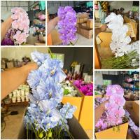 ราคา กล้วยไม้แวนด้า กล้วยไม้ปลอม ดอกกล้วยไม้ ดอกไม้จัดแจกัน (26256830188)