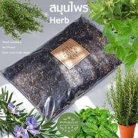 ราคา ดินผสมพร้อมใช้ สูตร 15 สมุนไพร(Herb) โรสแมรี่(Rosemary) - Organic Potting mix Soil วัสดุปลูกสมุนไพร (17073902181)