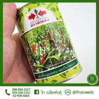 ราคา พริกขี้หนู เทอร์โบ ฮอท เมล็ดพันธุ์ พริกขี้หนู ลูกผสม ตรา ศรแดง บรรจุ 50 กรัม (8695164505)