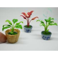 ราคา ต้นพลูฉลุในกระถาง ต้นไม้มงคล พลูฉลุ พลูฉลุจิ๋ว ต้นไม้มงคลดินปั้น ต้นพลูฉลุ ต้นพลูฉลุจิ๋ว ต้นไม้ด่าง Monstera #ของจิ๋ว (28317867364)