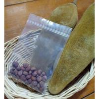 ราคา เมล็ดพันธุ์ต้นเบาบับ ชุดทดลองเพาะ 1 แพค มี 10 เมล็ด ขายเบาบับ ขายเมล็ดเบาบับ (6460360909)